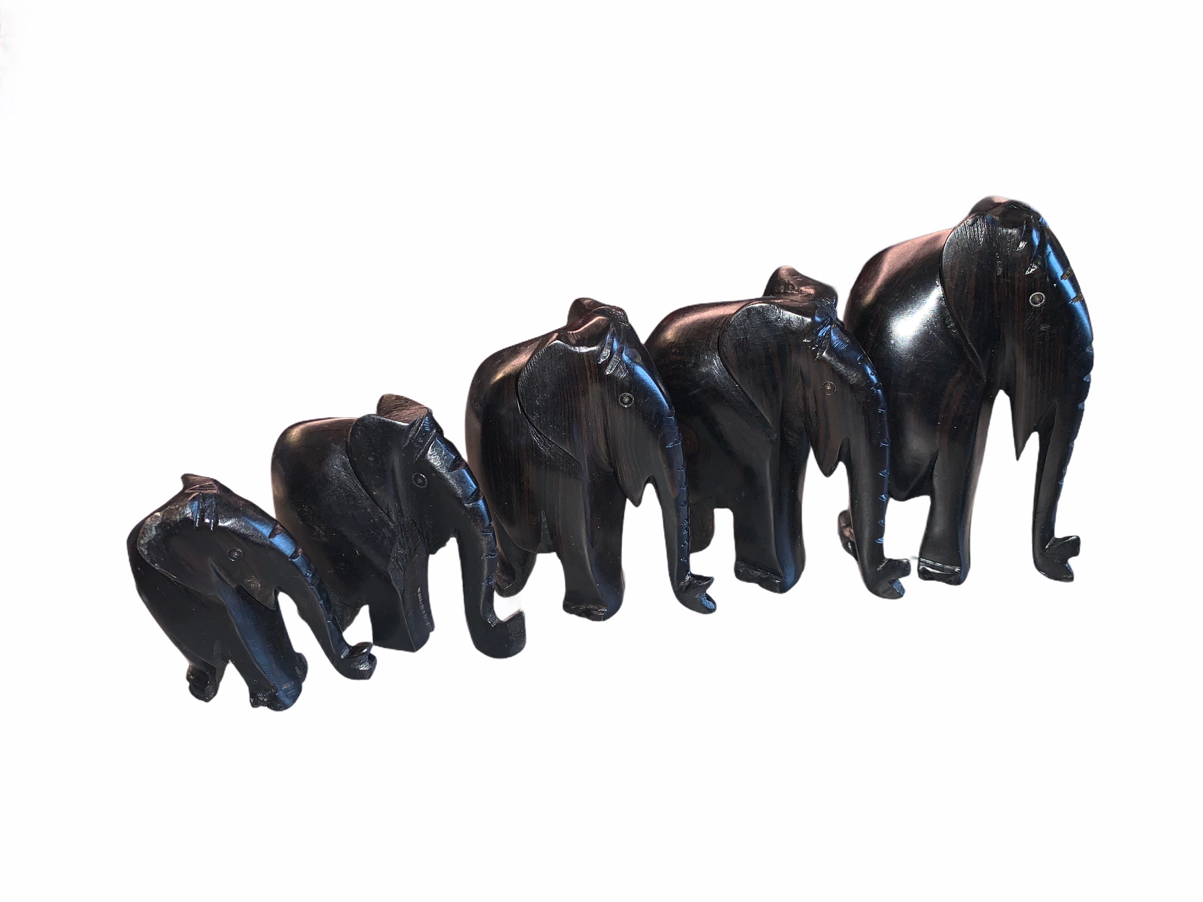 Série éléphants