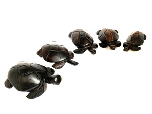 Série tortues